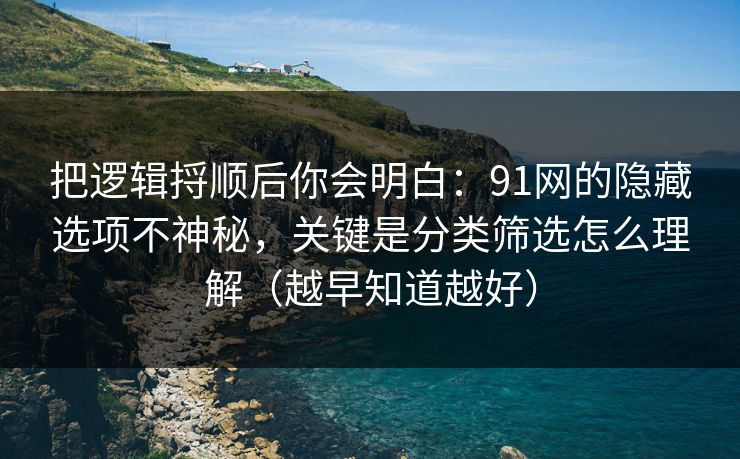 把逻辑捋顺后你会明白：91网的隐藏选项不神秘，关键是分类筛选怎么理解（越早知道越好）