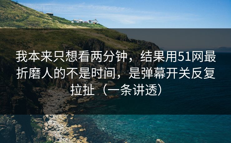 我本来只想看两分钟，结果用51网最折磨人的不是时间，是弹幕开关反复拉扯（一条讲透）